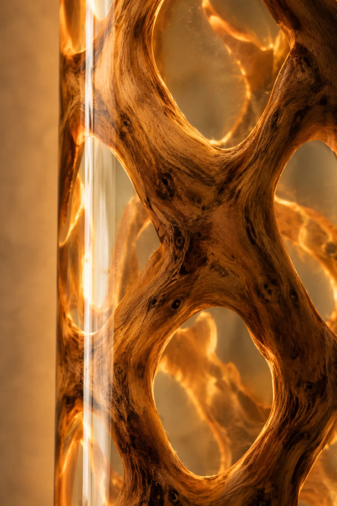 Golden Pods Clear Amber Epoxy Wall Lamp LP03